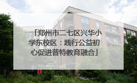 郑州市二七区兴华小学东校区：践行公益初心促进普特教育融合