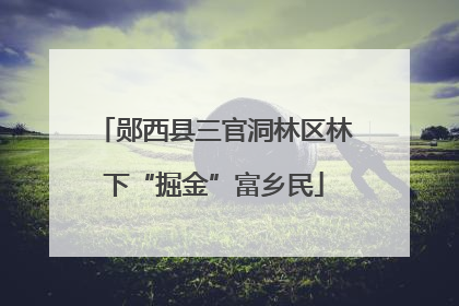 郧西县三官洞林区林下“掘金”富乡民