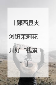 郧西县夹河镇茉莉花开好“钱景”