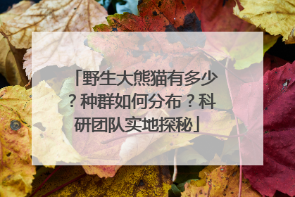 野生大熊猫有多少？种群如何分布？科研团队实地探秘