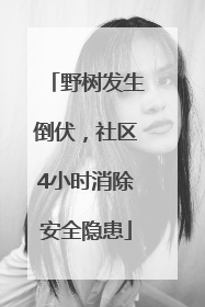 野树发生倒伏，社区4小时消除安全隐患