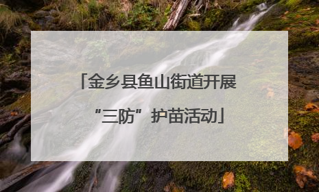 金乡县鱼山街道开展“三防”护苗活动
