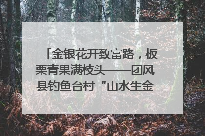 金银花开致富路，板栗青果满枝头——团风县钓鱼台村“山水生金”谱写共富新篇章
