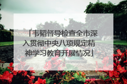 韦韬督导检查全市深入贯彻中央八项规定精神学习教育开展情况