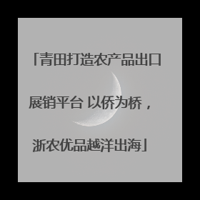 青田打造农产品出口展销平台 以侨为桥，浙农优品越洋出海
