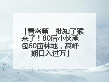 青岛第一批知了猴来了！80后小伙承包60亩林地，高峰期日入过万