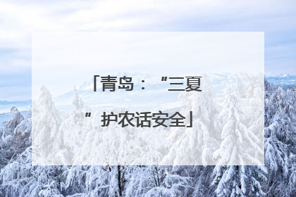青岛：“三夏”护农话安全