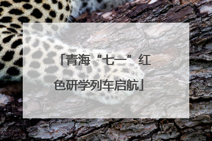 青海“七一”红色研学列车启航