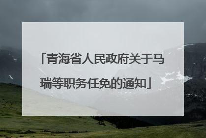 青海省人民政府关于马瑞等职务任免的通知