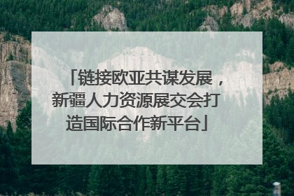 链接欧亚共谋发展，新疆人力资源展交会打造国际合作新平台