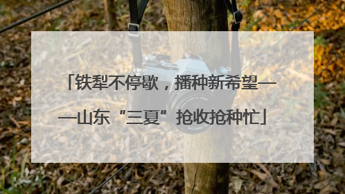 铁犁不停歇，播种新希望——山东“三夏”抢收抢种忙