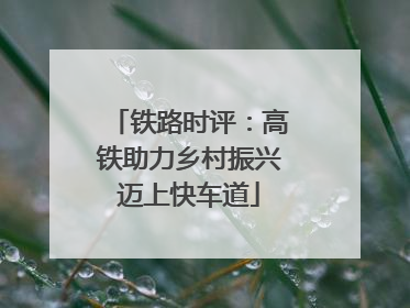铁路时评：高铁助力乡村振兴迈上快车道