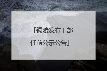 铜陵发布干部任前公示公告