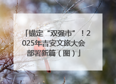 锚定“双强市”！2025年吉安文旅大会部署新篇（图）