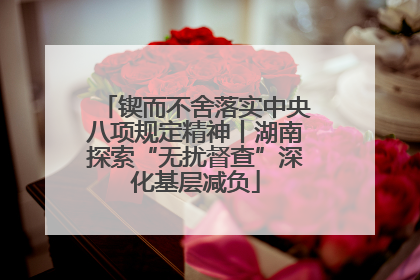 锲而不舍落实中央八项规定精神丨湖南探索“无扰督查”深化基层减负