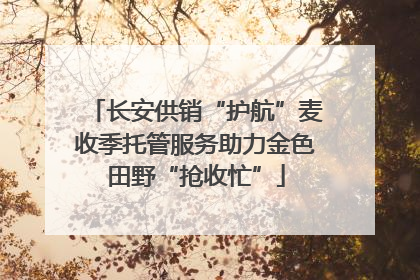 长安供销“护航”麦收季托管服务助力金色田野“抢收忙”
