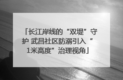 长江岸线的“双堤”守护 武昌社区防溺引入“1米高度”治理视角