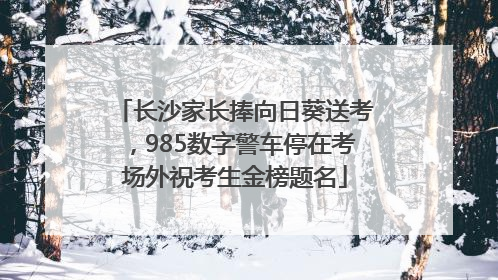 长沙家长捧向日葵送考，985数字警车停在考场外祝考生金榜题名