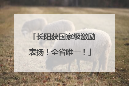 长阳获国家级激励表扬！全省唯一！