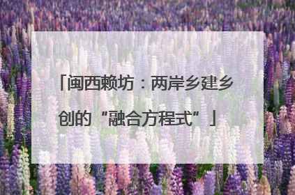 闽西赖坊：两岸乡建乡创的“融合方程式”