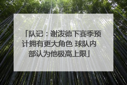 队记：谢泼德下赛季预计拥有更大角色 球队内部认为他极高上限