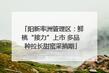 阳新率洲管理区：鲜桃“接力”上市 多品种拉长甜蜜采摘期