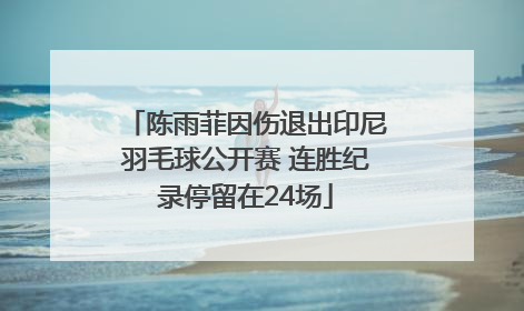 陈雨菲因伤退出印尼羽毛球公开赛 连胜纪录停留在24场