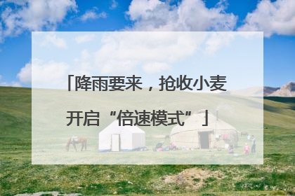 降雨要来，抢收小麦开启“倍速模式”