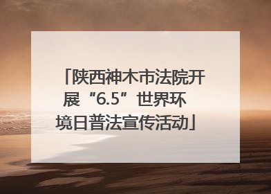 陕西神木市法院开展“6.5”世界环境日普法宣传活动