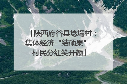 陕西府谷县埝墕村：集体经济“结硕果” 村民分红笑开颜