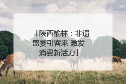 陕西榆林：非遗盛宴引客来 激发消费新活力