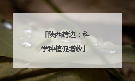 陕西靖边：科学种植促增收