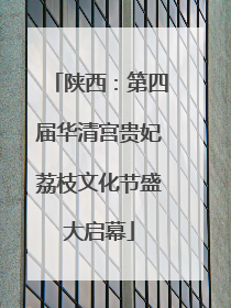 陕西：第四届华清宫贵妃荔枝文化节盛大启幕