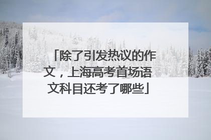 除了引发热议的作文，上海高考首场语文科目还考了哪些