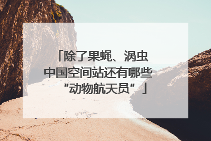 除了果蝇、涡虫 中国空间站还有哪些“动物航天员”