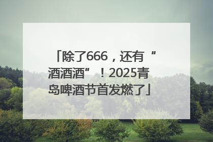 除了666，还有“酒酒酒”！2025青岛啤酒节首发燃了