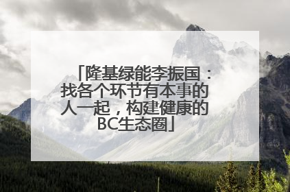 隆基绿能李振国：找各个环节有本事的人一起，构建健康的BC生态圈