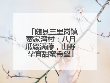 随县三里岗镇贾家湾村：八月瓜缀满藤，山野孕育甜蜜希望