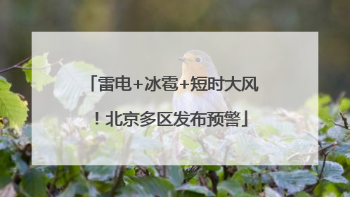 雷电+冰雹+短时大风！北京多区发布预警