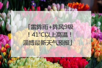 雷阵雨+阵风9级！41℃以上高温！淄博最新天气预报
