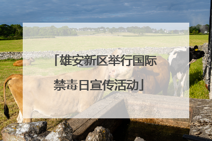 雄安新区举行国际禁毒日宣传活动