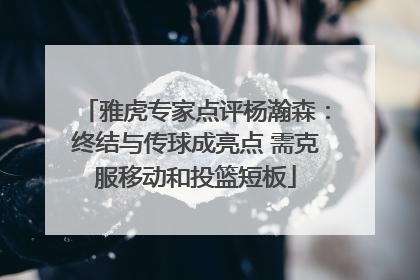 雅虎专家点评杨瀚森：终结与传球成亮点 需克服移动和投篮短板