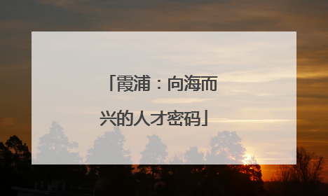 霞浦：向海而兴的人才密码