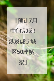 预计7月中旬完成！涉及咸宁城区50座桥梁