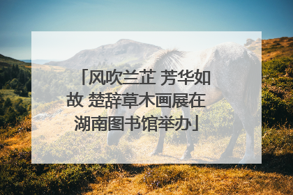 风吹兰芷 芳华如故 楚辞草木画展在湖南图书馆举办