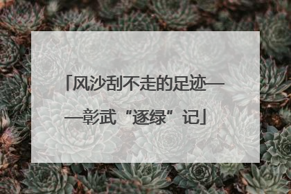 风沙刮不走的足迹——彰武“逐绿”记