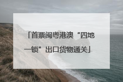 首票闽粤港澳“四地一锁”出口货物通关