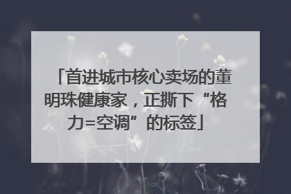 首进城市核心卖场的董明珠健康家，正撕下“格力=空调”的标签