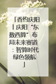 香约庆阳丨庆阳“东数西算”布局未来赛道：智算时代 绿色领航
