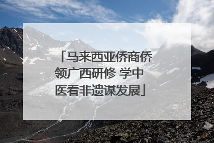 马来西亚侨商侨领广西研修 学中医看非遗谋发展
